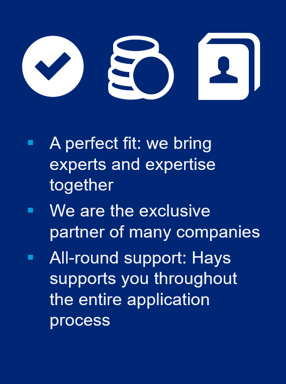 Left: Money, contact details, and tick icon in white on a blue background. Centre: White text with cyan bullet points: Fits perfectly: We bring experts and expertise together. We are an exclusive partner to many companies. All-round support: Hays supports you throughout the entire application phase. Right: Pink bubble 