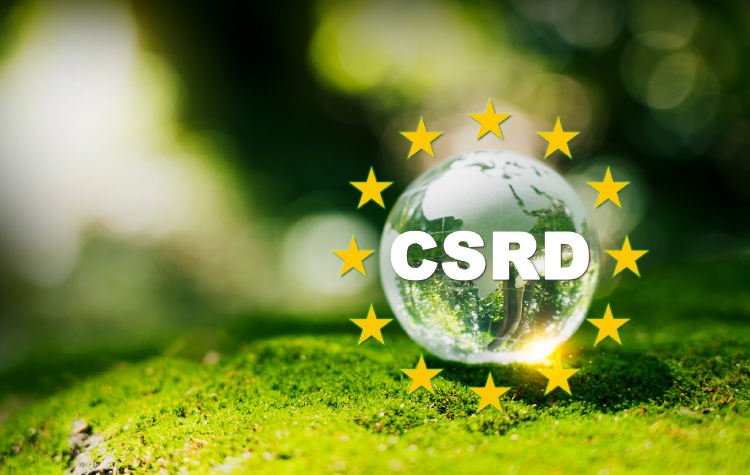 Webinar: Sind Sie bereit für die CSRD?