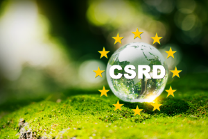 CSRD-Beratung